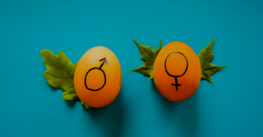 sex education
